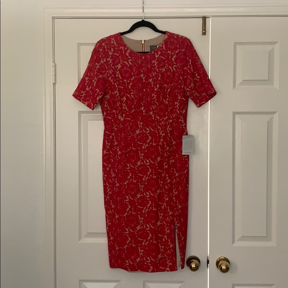 NWT Taylor work or evening dress